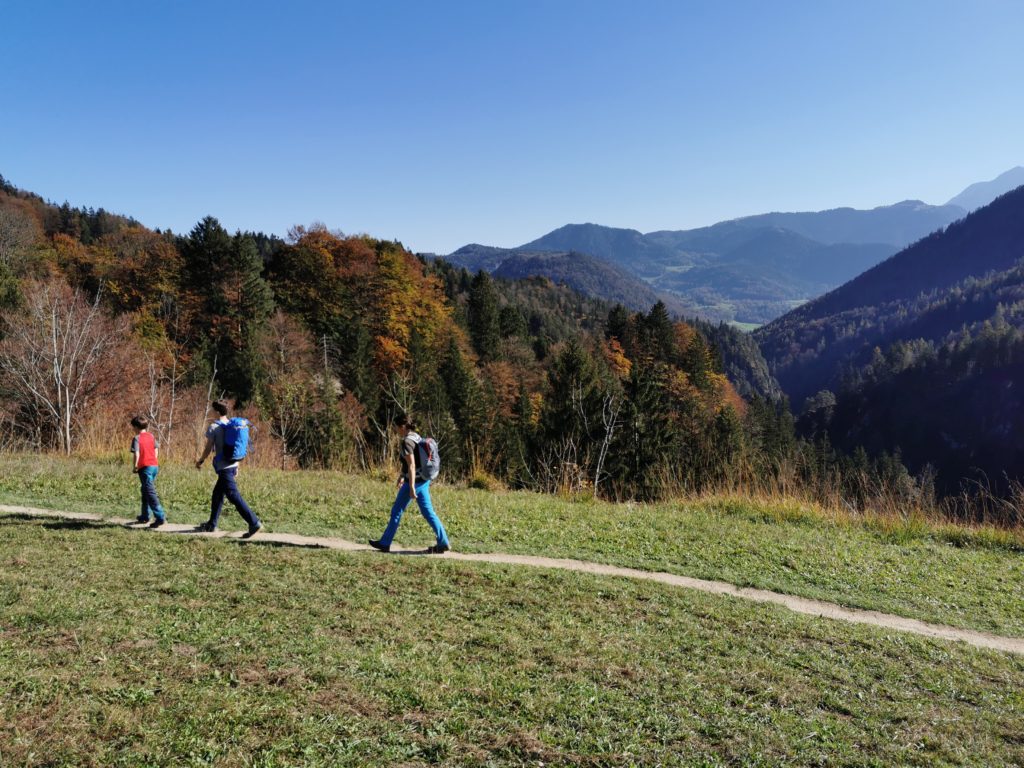 Herbstwanderung - mit Laubfärbung in der Sonne wandern