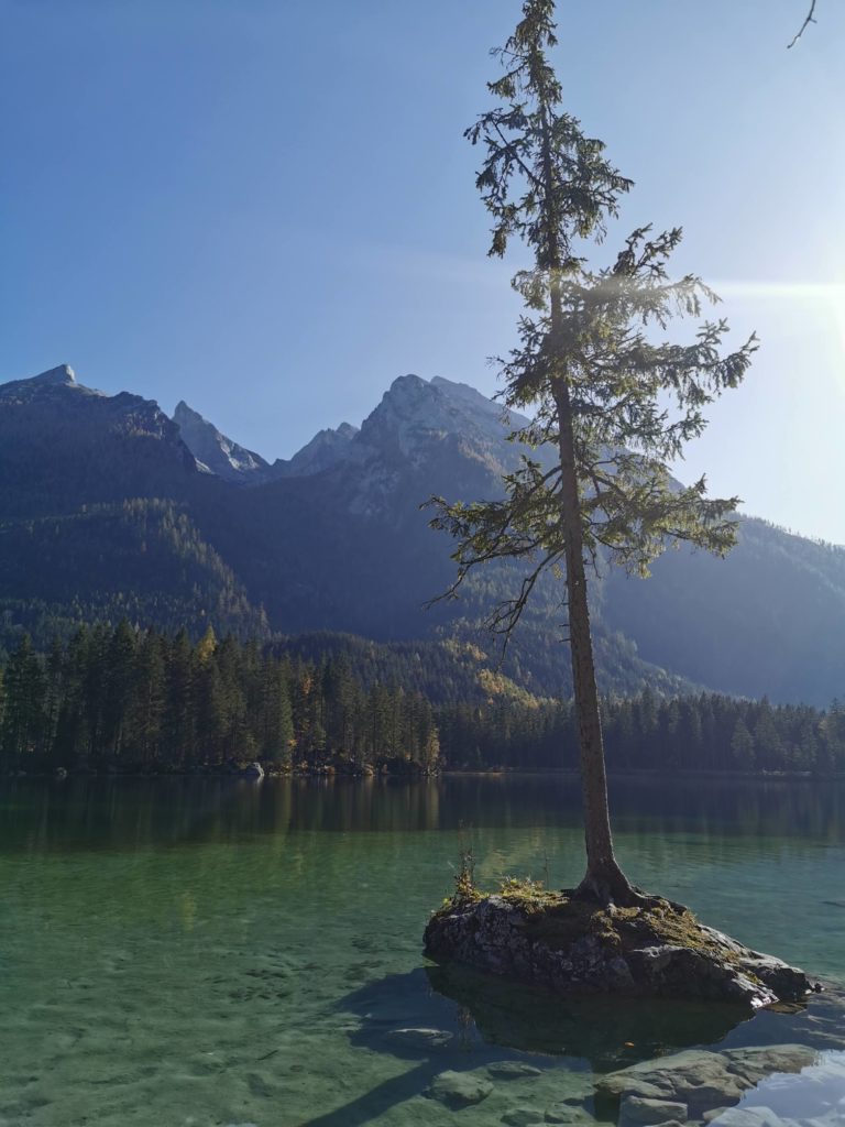 Bizzar der Blick auf dem Zauberwald Ramsau: Felsen im Wasser, auf denen einzelne Bäume wachsen