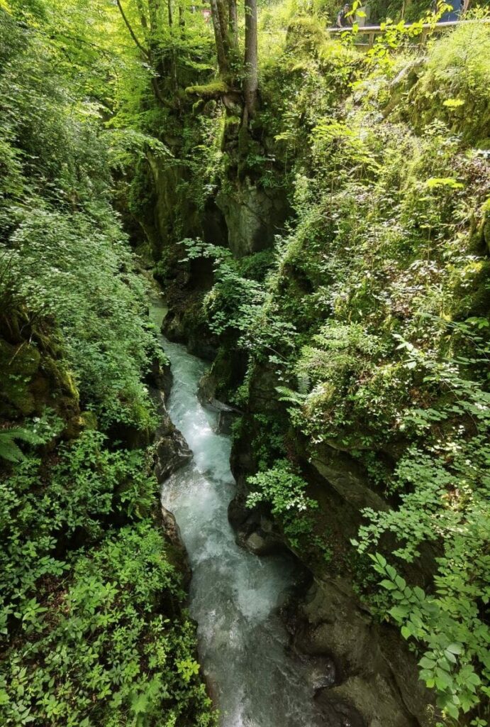 Blick in die Marxenklamm im Zauberwald Ramsau