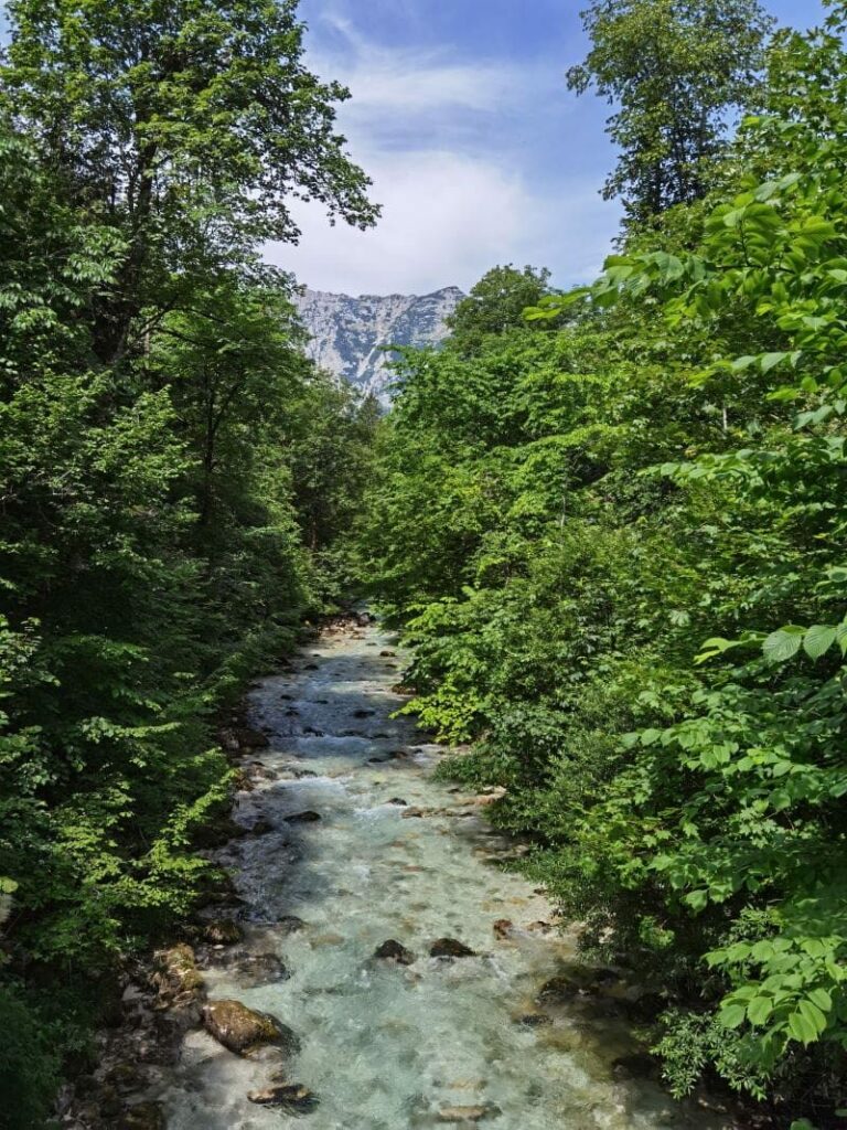 Entlang der Ramsauer Ache in den Zauberwald Ramsau wandern