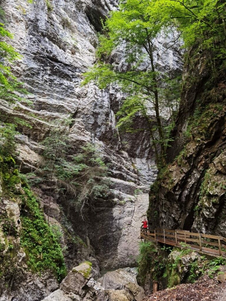 Alplochschlucht und Rappenlochschlucht - echte Geheimtipps für deine Klammwanderung