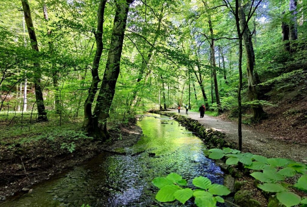 Romantische Klamm Deutschland - die Maisinger Schlucht am Starnberger See