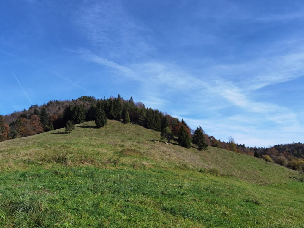 Der Gipfel der Kneifelspitzevon unten gesehen - wenig spektakulär