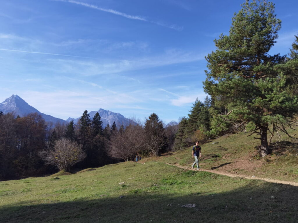 Kneifelspitze Wanderung über die Buckelwiesen und Kneifellehen