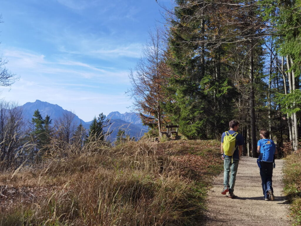 Auf der Kneifelspitze wandern - mit Sonne und Fernblick