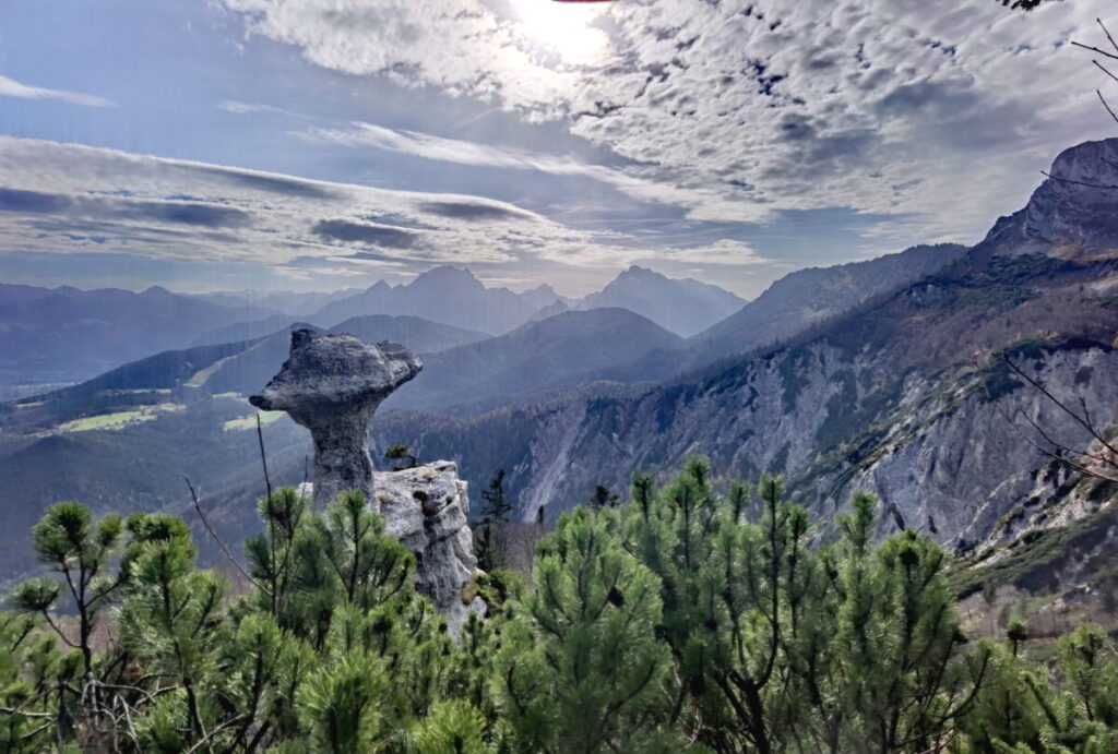 Der beste Steinerne Agnes Aussichtspunkt liegt oberhalb des Felsen, in den Latschen