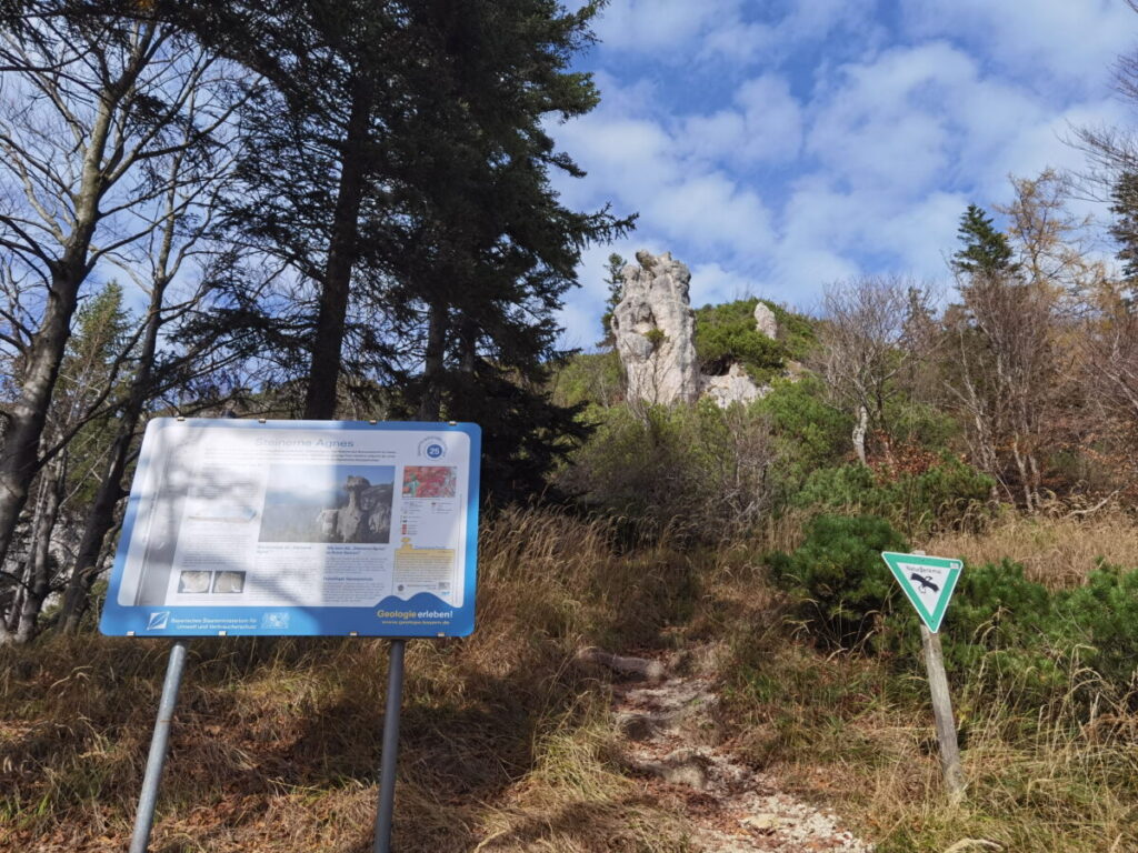 Steinerne Agnes Wanderung