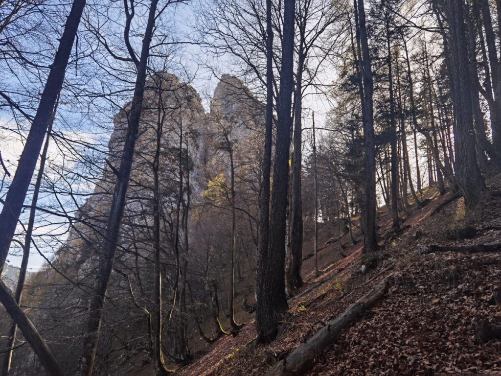 Steinerne Agnes Wanderung